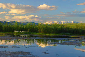 getImage (12)