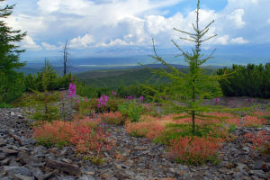 getImage (1)