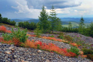 getImage (2)