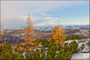 getImage (54)