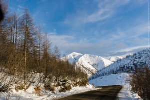 getImage (81)
