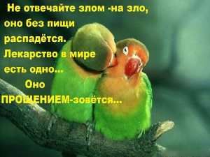 getImage