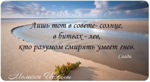 image (10)