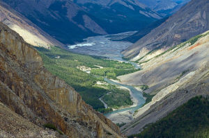 image (10)