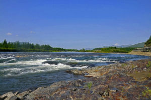 image (14)