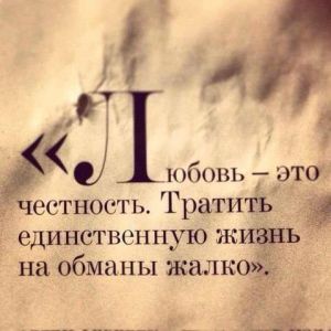 image (19)