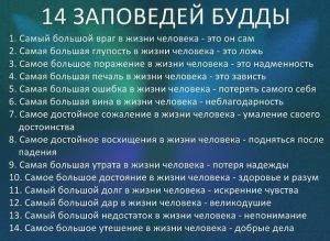 image (21)