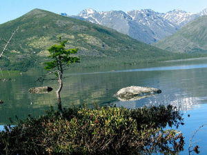 image (22)