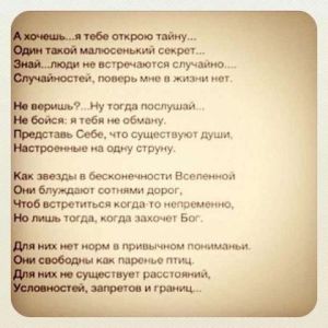 image (23)
