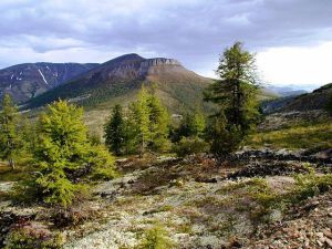 image (25)