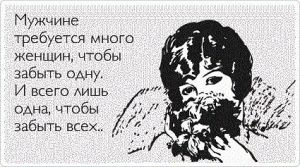 image (27)