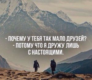 image (3)