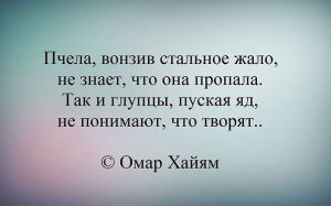 image (4)