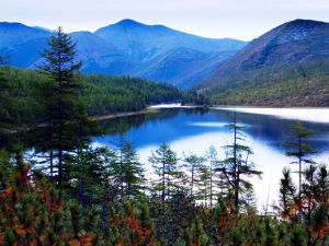 image (5)