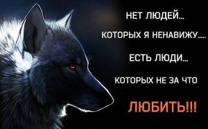 image (6)