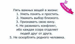 image (8)