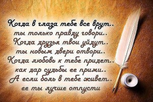 getImage (12)