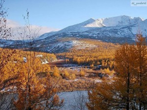 getImage (14)