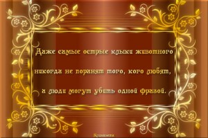 getImage (19)