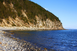 getImage (4)