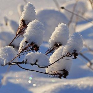 image (28)