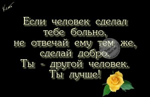 image (13)