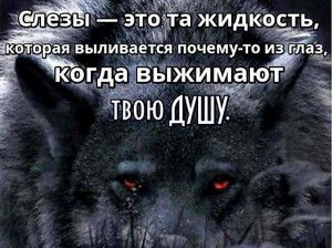 image (14)