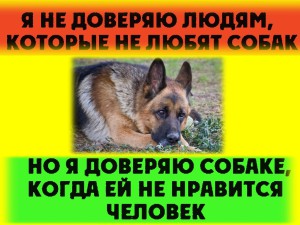 image (3)