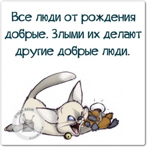 image (10)