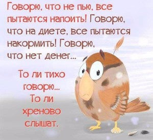 image (1)