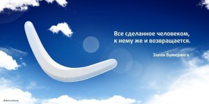 image (11)