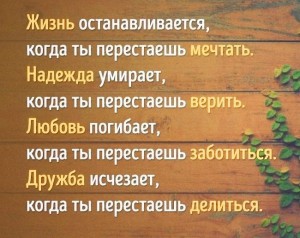 image (15)