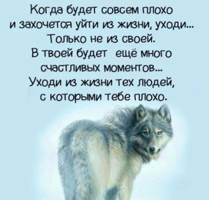 image (16)