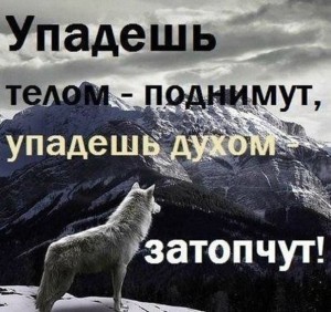 image (17)