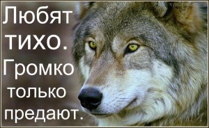 image (22)