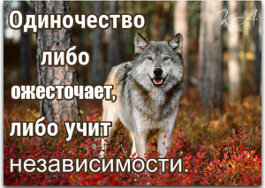 image (3)