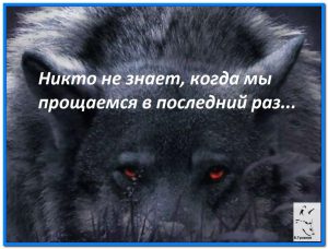 image (5)