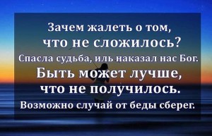 image (6)