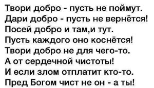 image (8)