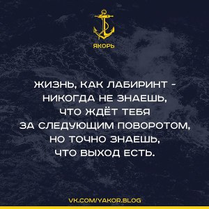 2595169491