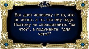image (10)