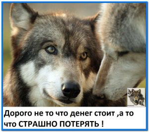 image (10)