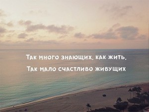 image (1)