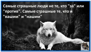 image (11)