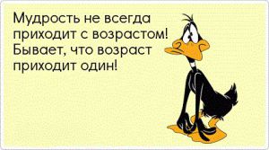 image (11)