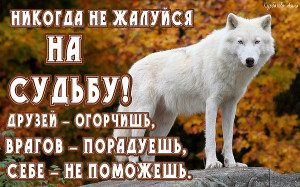 image (1)