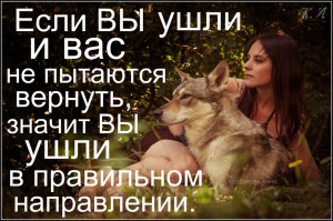 image (13)