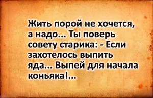 image (14)