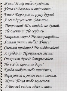 image (14)