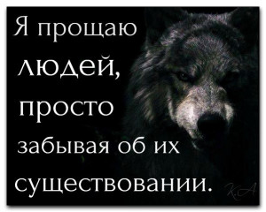 image (15)